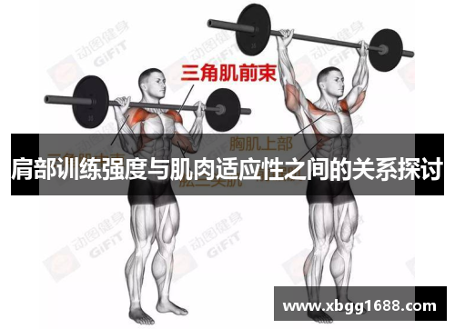 肩部训练强度与肌肉适应性之间的关系探讨