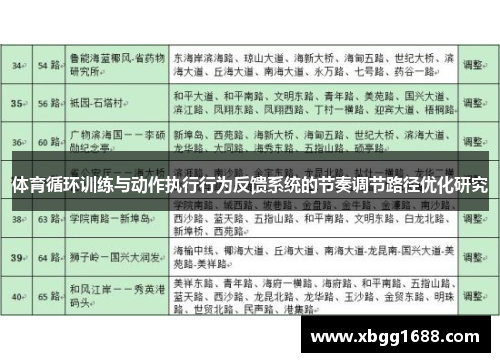 体育循环训练与动作执行行为反馈系统的节奏调节路径优化研究